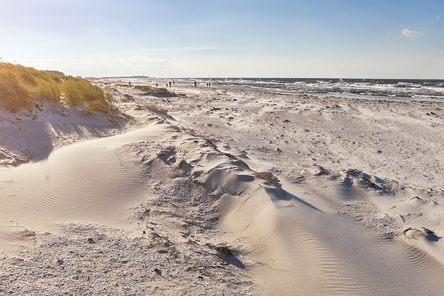 hiddensee plaz